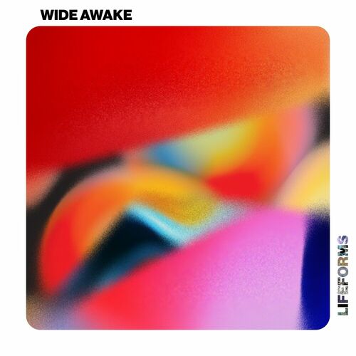  Tim Engelhardt & Jyll - Wide Awake (2023) 
