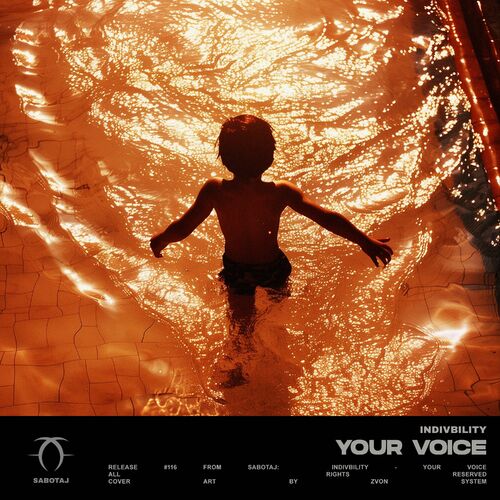  indiVbility - Your Voice (2024) 