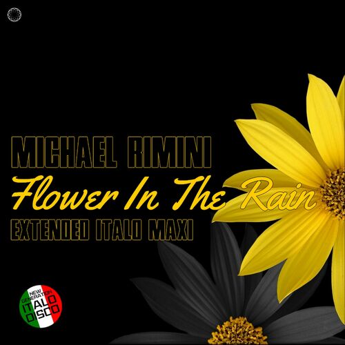  Michael Rimini - Flower in the Rain (2023) 