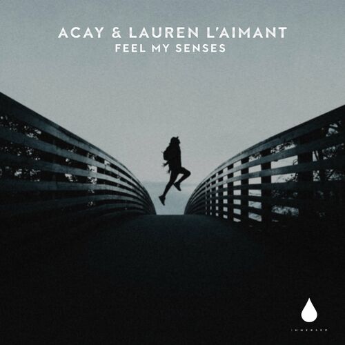 VA - ACAY & Lauren L'aimant - Feel My Senses (2023) (MP3)