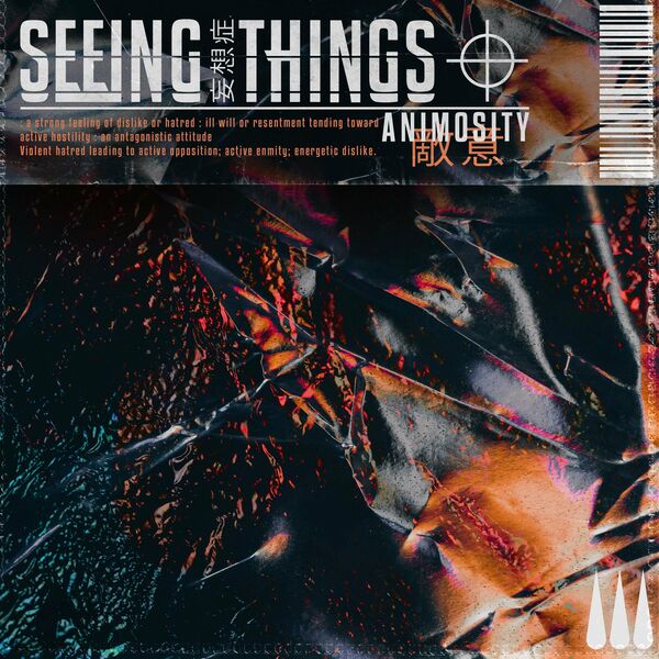 Seeing Things - Animosity [single] (2021)