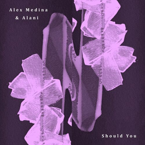  Alex Medina & Alani - Should You / Broken Window (2023) 
