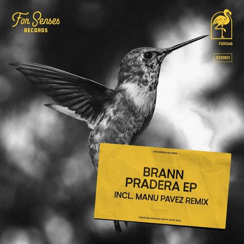 MP3:  Brann (AR) - Pradera (2024) Онлайн