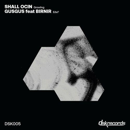 VA - Shall Ocin - Growling / Eda (2023) (MP3)