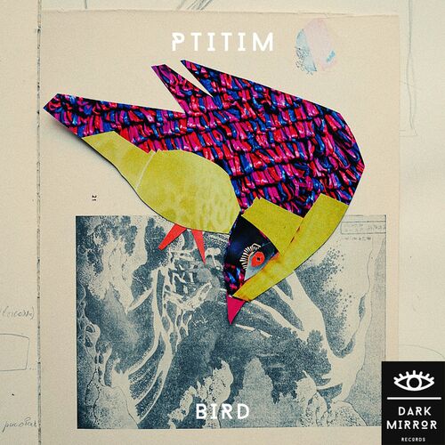  Ptitim - Bird (2023) 