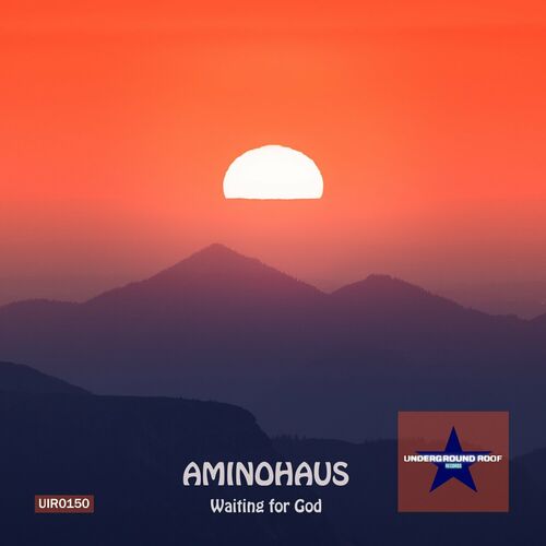  Aminohaus - Waiting for God (2023) 