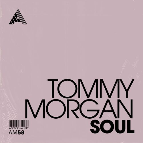 VA - Tommy Morgan - Soul (2024) (MP3) 500x500-000000-80-0-0