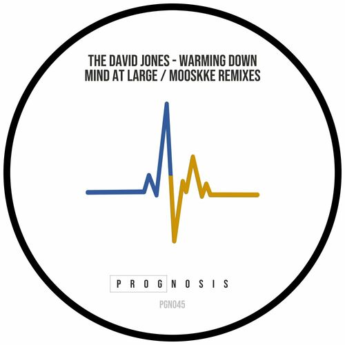  The David Jones - Warming Down (2024) 