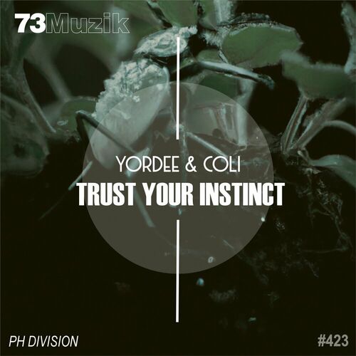VA - Yordee & Coli - Trust Your Instinct (2023) (MP3)