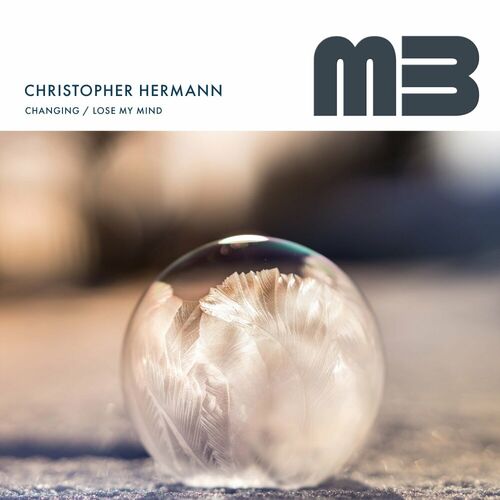  Christopher Hermann - Changing (2023) 