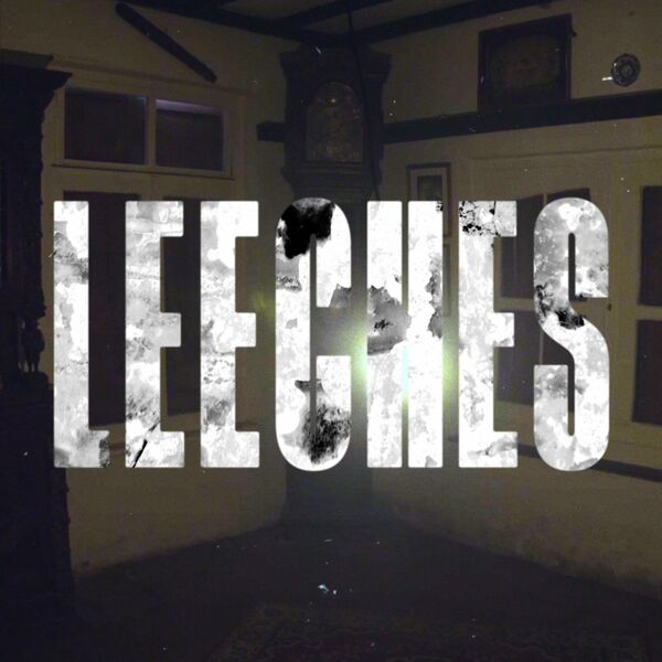 CellarDoor - Leeches [single] (2024)