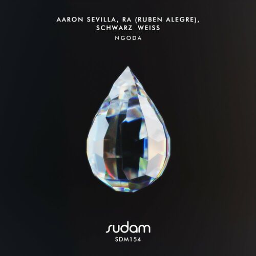 VA - Aaron Sevilla & RA (Ruben Alegre) & Schwarz Weiss - Ngoda (202... 500x500-000000-80-0-0