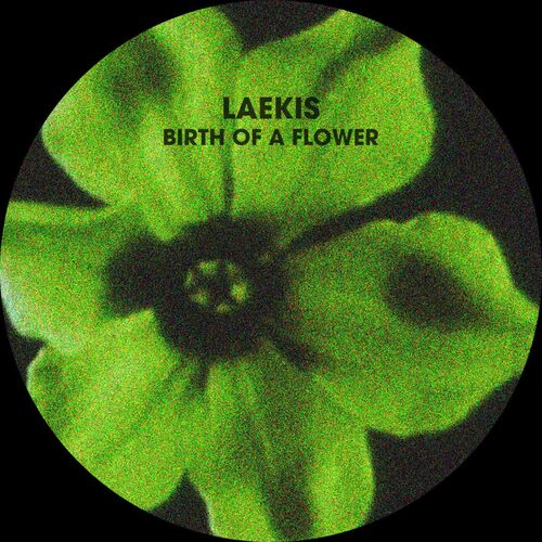  Laekis - Birth Of A Flower (2023) 