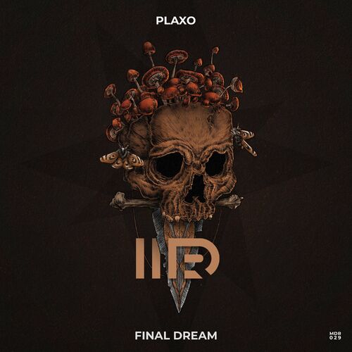  PLAXO - Final Dream (2023) 