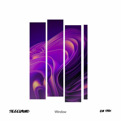  Siegelmund - Window (2023) 