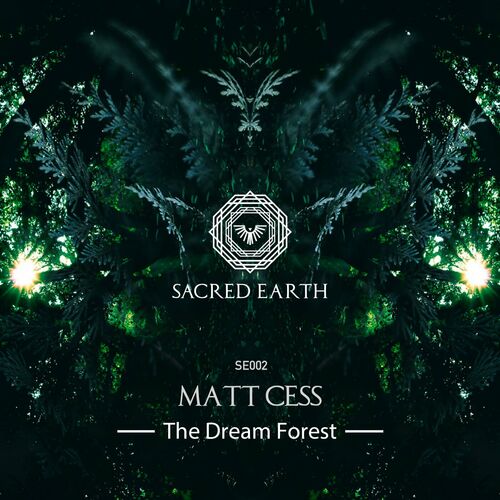  Matt Cess - The Dream Forest (2023) 