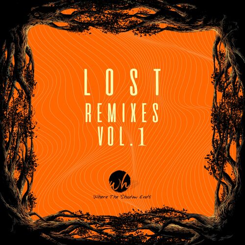  WTSE019 - Lost Remixes Vol 1 (2024) 