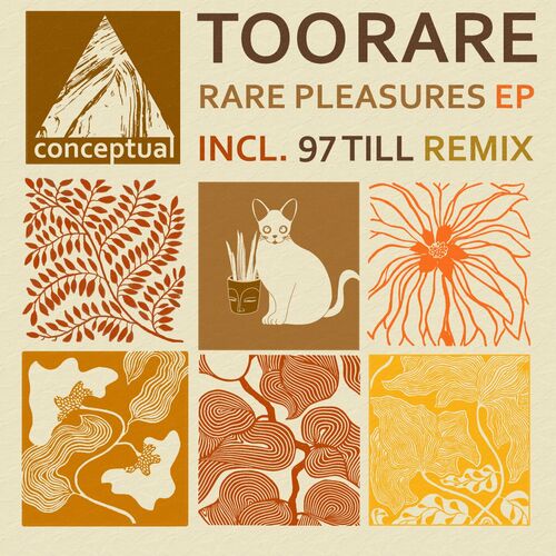  TooRare - Rare Pleasures (2023) 