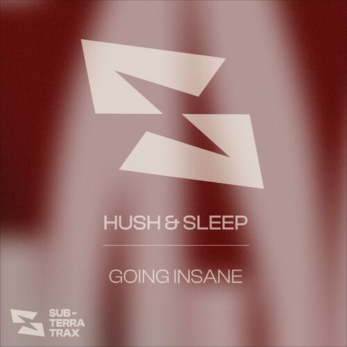  Hush & Sleep - Going Insane (2024) 