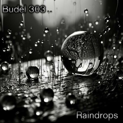  Budel 303 - Raindrops (2023) 