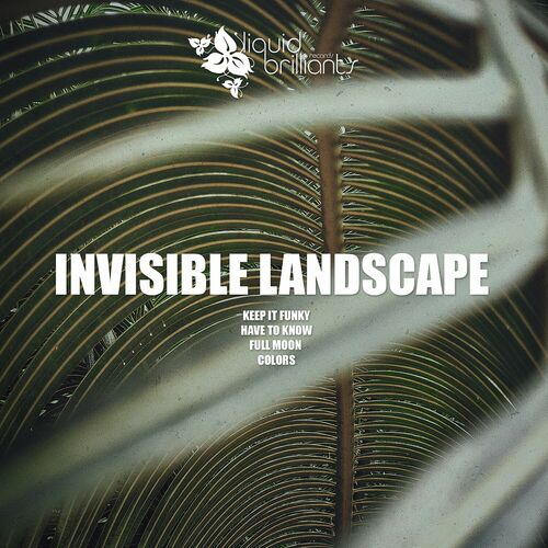  Invisible Landscape - Keep It Funky (2023) 