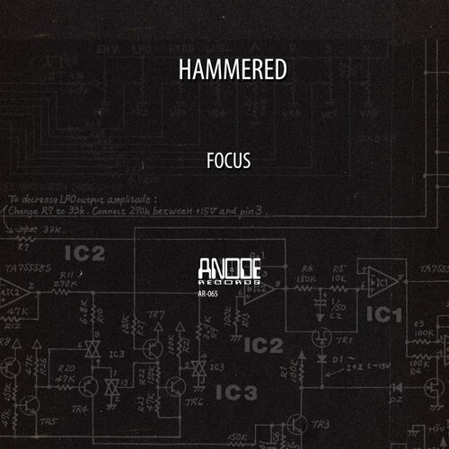  Hammered - Focus (2023) 