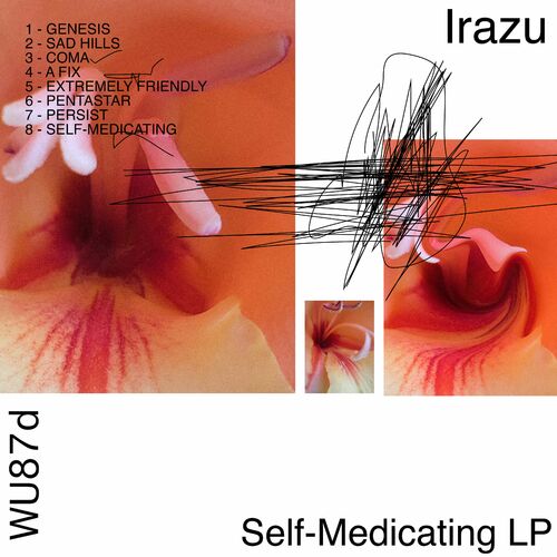  Irazú - Self-Medicating LP (2023) 