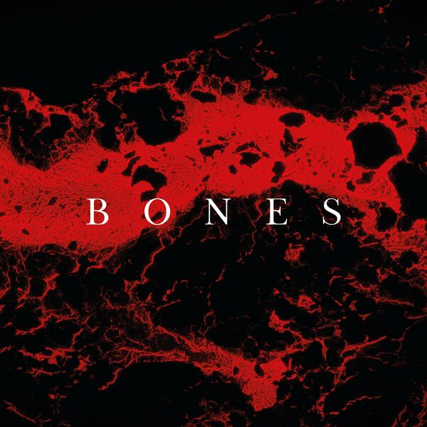 The Silence Between Us - Bones [single] (2023)