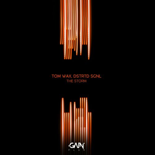  Tom Wax & DSTRTD SGNL - The Storm (2023) 