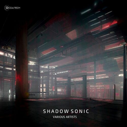 OCTRD054 - Shadow Sonic (2023)