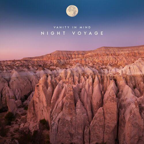 VA - Vanity in Mind - Night Voyage (2024) (MP3) 500x500-000000-80-0-0