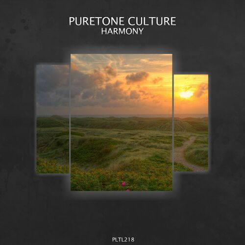  Puretone Culture - Harmony (2023) 