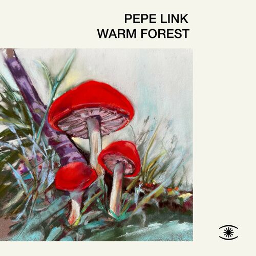 VA - Pepe Link & Marta Santamaría - Warm Forest (2024) (MP3) 500x500-000000-80-0-0