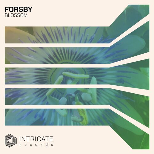  FORSBY - Blossom (2023) 