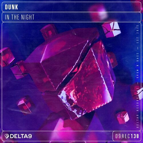 VA - Dunk & Nitri - In the Night (2023) (MP3)