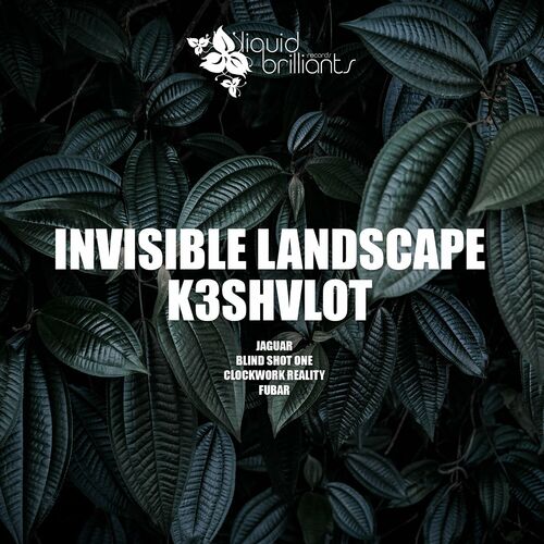  Invisible Landscape & K3SHVLOT - Jaguar (2023) 