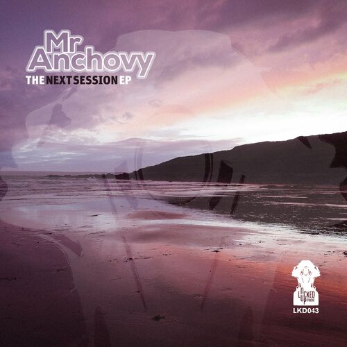  Mr Anchovy - The Next Session (2023) 