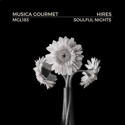  Hires - Soulful Nights (2023) 