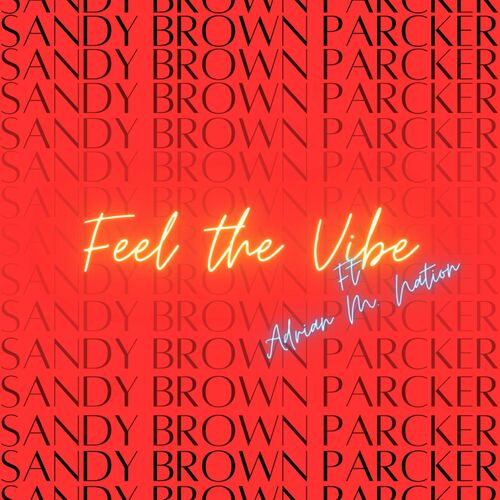  Sandy Brown Parcker Feat Adrian M. Nation - Feel The Vibe (2024) 