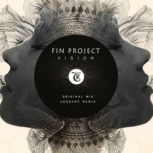  FIN Project - Vision (2023) 