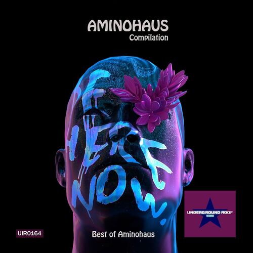  Aminohaus & D. DEMALDE' - Best of Aminohaus (2023) 
