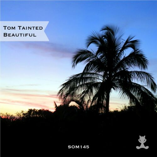  Tom Tainted - Beautiful (2023) 