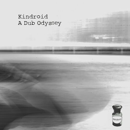  Kindroid - A Dub Odyssey (2023) 