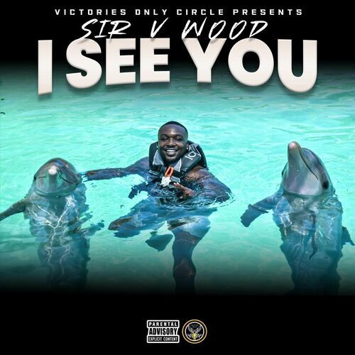  Sir V Wood - I See You (2024) 