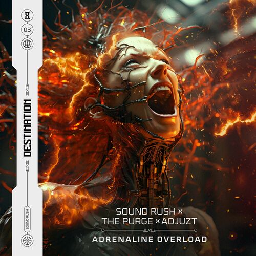  Sound Rush & The Purge & Adjuzt - Adrenaline Overload (2023) 