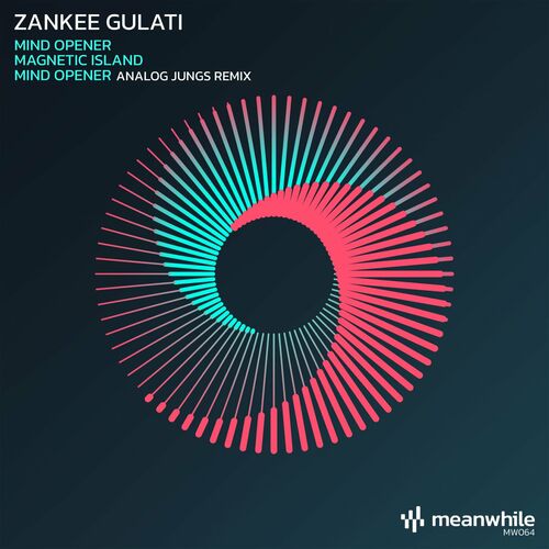  Zankee Gulati - Mind Opener / Magnetic Island (2024) 