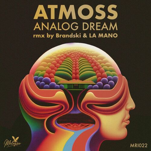  Atmoss (SP) - Analog Dream (2023) 