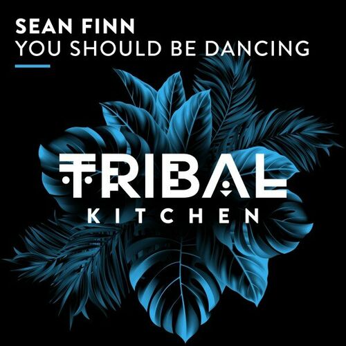  Sean Finn - You Should Be Dancing (2023) 