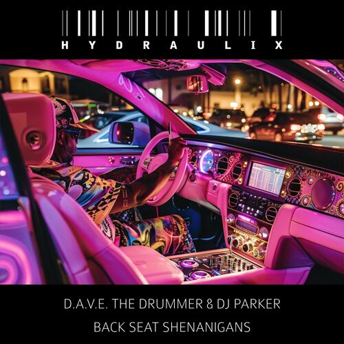 VA -  D.a.v.e. the Drummer & DJ Parker - Back Seat Shenanigans (202... 500x500-000000-80-0-0