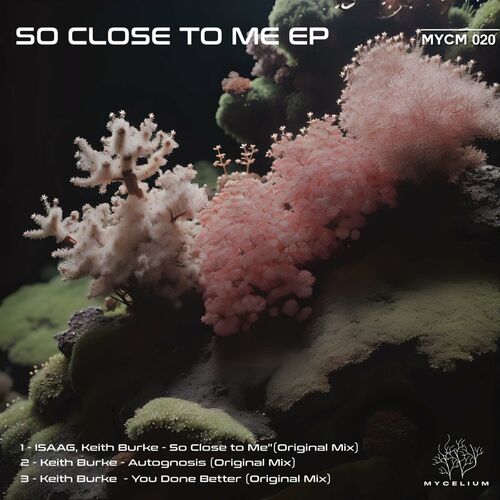 VA - Isaag & Keith Burke - So Close to Me (2024) (MP3) 500x500-000000-80-0-0